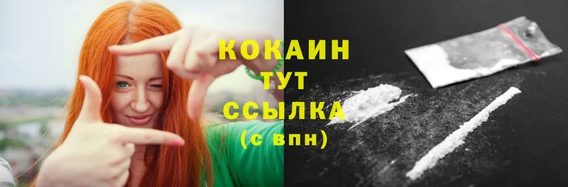 как найти наркотики  Менделеевск  Cocaine Fish Scale 